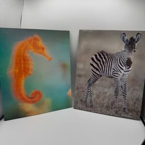 Vintage Norcom 2 Pocket Folders Set Seahorse and Zebra Animal School Supply